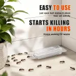 Liquid Ant Bait 20 Pack, Ant Killer Bait Stations for Indoor & Outdoor