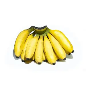 Banana Branch