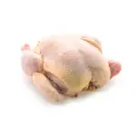 Whole Chicken Halal