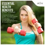 Vanilla Multi Collagen Protein Powder - 400g - Unsweetened - 5 Types of Collagen Peptides - Hydrolysed Grass Fed Bovine, Wild Caught Marine & Free-Range Chicken - Keto Approved
